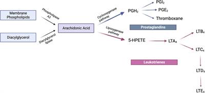 Immunomodulation of periodontitis with SPMs